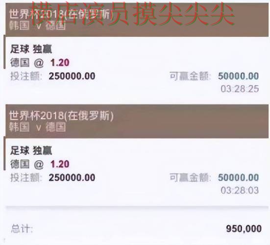 新手必看：世界杯投注平台官网直达详解 + 世界杯全球总决赛