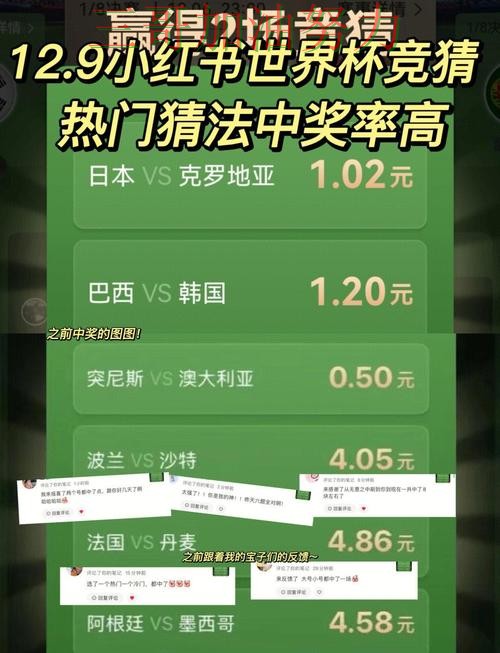 世界杯官方信息期间热门世界杯竞猜平台深度评测与直播入口分析